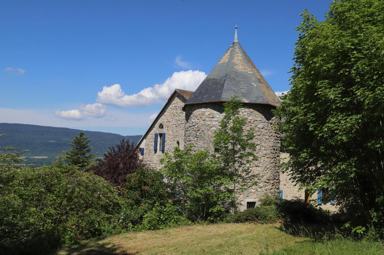 Chateau De Sothonod المظهر الخارجي الصورة