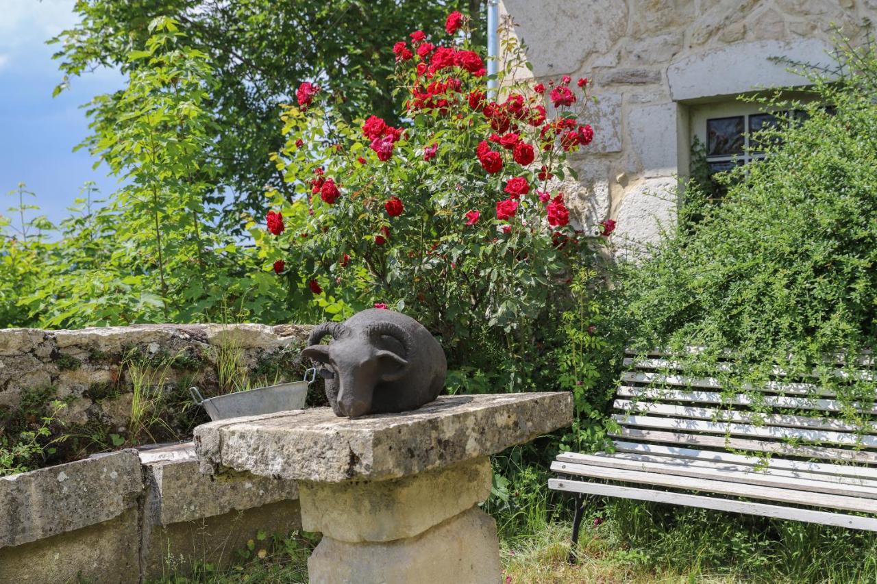 Chateau De Sothonod المظهر الخارجي الصورة