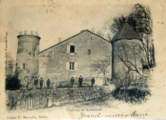 Chateau De Sothonod المظهر الخارجي الصورة